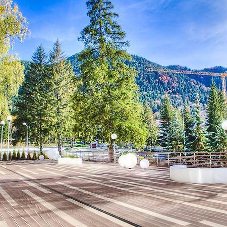 Vila Pinul Si Mesteacanul Hotel Пояна Брашов Екстериор снимка