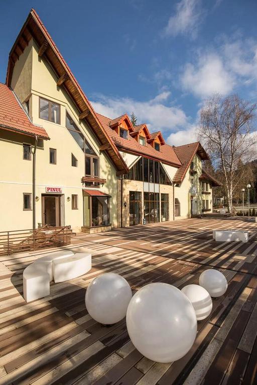 Vila Pinul Si Mesteacanul Hotel Пояна Брашов Екстериор снимка